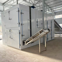 Séchoir tunnel continu en acier inoxydable à bande maillée pour la déshydratation alimentaire, idéal pour le traitement commercial des noix, des graines et des céréales