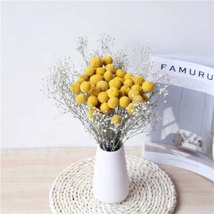 Boule de Billy séchée, craspédie sèche, fleurs dorées conservées, boutons de Billy pour Arrangement Floral, mariage à domicile - Product Image 6