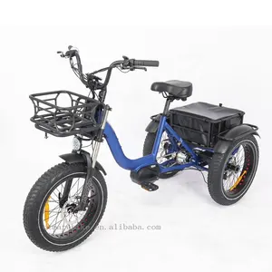 Nuovo design 20 pollici 3 ruote mid drive bici elettrica adulti vendita calda grande pneumatico easy rider triciclo elettrico