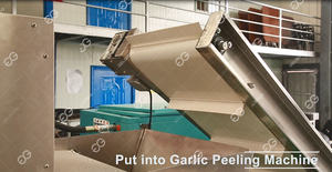 220 V Handels Knoblauch-Ganzbel-Zerkleinerer Maschine Glühbirne-Schälmaschine gewerbe Knoblauch- und Ingwer-Schällmaschine Preis - Product Image 3