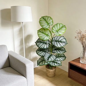 Nouvelle Collection : Ornements <span class=keywords><strong>D</strong></span>écoratifs Artisanaux en Plastique, Répliques Réalistes au Toucher, 15 Variétés <span class=keywords><strong>d</strong></span>'Alocasia Macrorrhiza pour l'Intérieur - Product Image 5