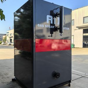 Endüstriyel kullanım için 500 kg küçük su tüpü buhar jeneratörü gaz yakıt dikey tarzı düşük basınç laboratuvar fabrika için yeni - Product Image 5