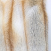 Manteau en fourrure de renard doré naturel épais de qualité supérieure pour femmes, veste d'hiver pour froid extrême, fourrure entière, style russe luxueux