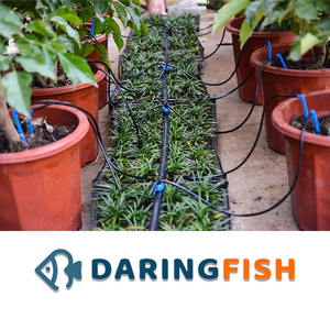 Daroche d'arrosage multi-sorties DaringFish : 1 à 4 sorties, droites et coudées, 2 L/h par sortie - Arrosage de la zone racinaire pour pots et pépinières - Product Image 4