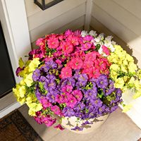 Fleurs artificielles décoratives d'extérieur résistantes aux UV, en eucalyptus et gloire du matin, idéales pour décorer les jardins et les balcons