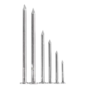 Befestigungs elemente Lieferungen Polierter gewöhnlicher Eisen nagel Zink Edelstahl Verzinkter Eisen beton Standard nägel - Product Image 1