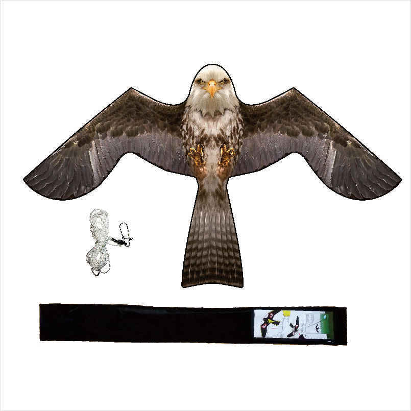 จำลอง B Eagle