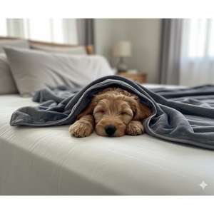 Coperta per animali domestici Yommy, morbida e calda, con stampa a zampa, lavabile, coperta invernale per cani e gatti - Product Image 2