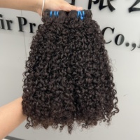 Perruque de Cheveux Humains de Qualité Supérieure, Boucles Pixie P4/350, Double Trame, Pointes Pleines, Cuticules Alignées