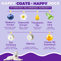 Shampooing et après-shampooing 2-en-1 premium pour chiens et chats, marque privée, formule végétale, pour un pelage brillant et doux, soin et toilettage.
