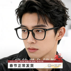 Monture de lunettes rectangulaire style Black Warrior 2101 TR90 anti-lumière bleue pour homme, grande monture extra large, verres PC Danyang - Product Image 3