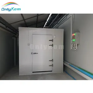 Walk-In-Zimmer Kühlraum großer Kühllager Kühlraum für Gemüse Fleisch Meeresfrüchte