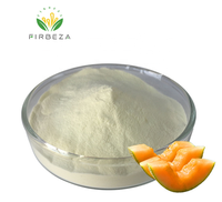 Service personnalisé poudre de Melon de rosée d'abeille pur organique jus de Fruit de cantaloup extrait de Melon Hami en poudre