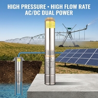 Pompe à eau submersible solaire agricole, diamètre 4 pouces, 750 watts, impeller en plastique, haute pression, alimentation AC/DC