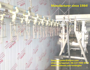 Línea de Sacrificio de Pollos, Matadero de <span class=keywords><strong>Palomas</strong></span>, Equipo de Sacrificio de Garzas - Product Image 6