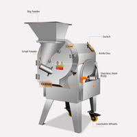 RVS 220V Elektrische Hoge Snelheid Groente Snijder/Snijmachine voor Efficiënt Restaurantgebruik