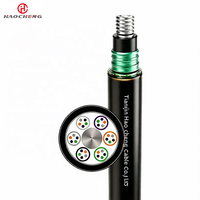 Câble à fibre optique GYTA53 résistant aux rats et étanche, pour extérieur, enterré, 24/48/96 cœurs, gaine PE, monomode G652D, double