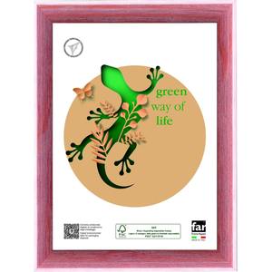 CADRE AZUMA EN BOIS ET CRILEX ROSE 50X70CM - Product Image 1