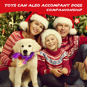 2025 yeni toptan dayanıklı diş temizleme gıda sınıfı naylon köpek kemik oyuncak yıkılmaz Anti-bite köpek Bite oyuncak - Product Image 6