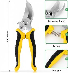Ciseaux de jardin à poignée givrée pour la coupe et l'élagage des fleurs - Product Image 1