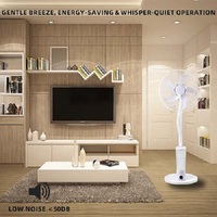 18-Zoll-Luftkühler-Nebelventilator mit Wassertank und Lithium-Akku, BLDC-Akku-Ventilator mit Oszillation, Standventilator