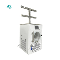 SCIENTZ-25T RVS Automatische Commerciële Laboratorium Vriesdroogmachine voor Fruit, Voedsel, Vlees en Groenten