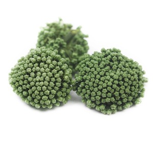 Flor de Notoginseng Seca de Alta Calidad, Suministro de Fábrica al por Mayor, Sanqi, Flor Seca de Notoginseng, Sanchi para el Bienestar - Product Image 6