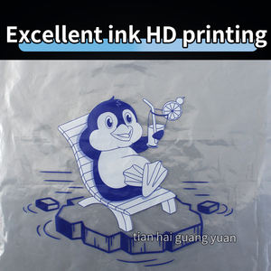 Anpassbarer umwelt freundlicher Kunststoff-Kordelzug-Eis beutel Große Kapazität Verdicktes neues Material Würfel Bier Soda Verpackung Benutzer definiertes Logo - Product Image 3