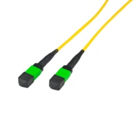 24core 24c 24 serat Data Center OM5 Multi Mode Harness Fan-out kabel MTP konektor MPO Male ke LC Fiber Optic Patch Cord