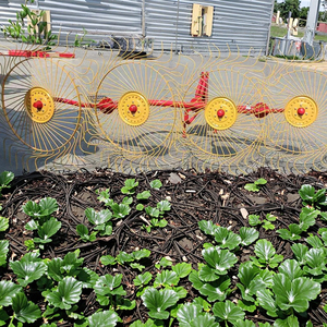 Rastrillo Agrícola de Alta Calidad con Certificación CE, de 4/5 Discos, para Césped, de Una Sola Cara, Piezas de Maquinaria Agrícola - Product Image 1