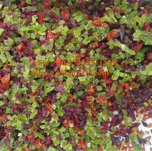 Máquina Eléctrica para Cortar Arándanos Secos en Cubos/Cortadora de Frutas Deshidratadas para Azúcar, Mango y Arándanos/Cortadora de Fresas Secas en Cubos de 5mm - Product Image 5