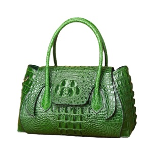 Bolso de mano para mujer 2026, nuevo diseño de cocodrilo, cierre de solapa, bolso de hombro cruzado, estilo informal de alta gama - Product Image 5