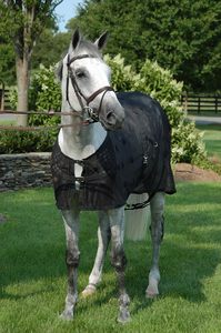 Manta magnética PCMB PC de elección profesional de 74 pulgadas Traphy Para Caballo - Product Image 4