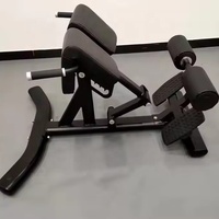 Machine d'extension dorsale de haute qualité pour musculation et entraînement sportif, équipement de fitness commercial et domestique avec garantie