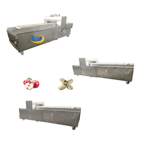 Máquina Automática para Separar y Cortar Núcleos de Manzana, Kiwi y Mango, en Oferta, de Fábrica en China - Product Image 5