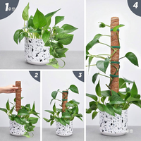 Support de Plantes Grimpantes Écologique en Mousse et Coco, Piquets Dissimulés Détachables pour Jardin et Maison