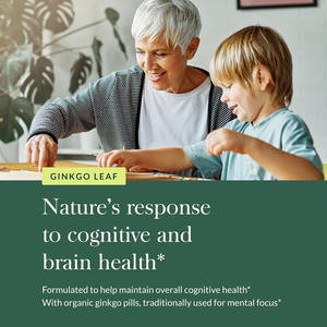 Kapsul <span class=keywords><strong>GinkGo</strong></span> <span class=keywords><strong>Biloba</strong></span> suplemen Herbal standar yang menuntut tinggi dari Tiongkok untuk ekspor dengan harga grosir - Product Image 6