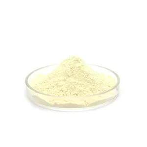 Wholesale Price Schizochytrium Dha Extract Schizochytrium Algae Dha Powder For Sale