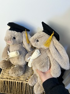 Peluche Coniglio Jelly Cats Classe 2026 per il Raggiungimento della Piazzata di Laurea con Sacchetto Antipolvere Gratuito, Regalo Commemorativo per Studenti - Boutique - Product Image 3