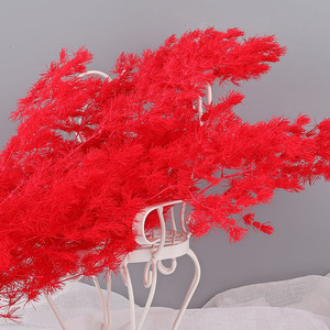 Helechos <span class=keywords><strong>Ming</strong></span> rojos conservados, espárragos naturales conservados, flores secas de Myriocladus para decoración del hogar, arreglos florales festivos, hojas - Product Image 5