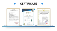 Máquina CPM para Articulaciones de Miembros Inferiores (Rodilla, Tobillo, Cadera) con Certificación CE, Eléctrica, Clase II, Precio de Fábrica, Proveedor Chino, Tracción de Piernas para Fisioterapia