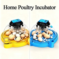 Incubateur d'œufs automatique Flying Saucer avec alimentation en eau et retournement automatique, couveuse et éleveuse numérique domestique pour œufs de poulet, de canard, de caille et d'oiseaux