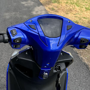 Scooter électrique à <span class=keywords><strong>prix</strong></span> inférieur en Inde, 12 pouces, moteur 27H, roue fendue, absorption des chocs complète, <span class=keywords><strong>prix</strong></span> CKD, cyclomoteur électrique en Inde - Product Image 3