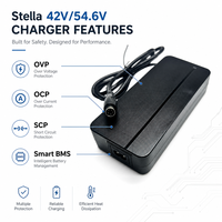 Chargeur de batterie au lithium haute efficacité 54,6V2A, adaptateur de charge rapide pour vélo électrique Stella, personnalisation ODM, prise Phylion 5 broches