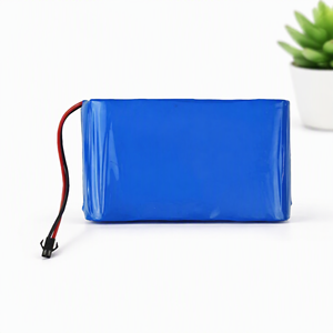 Pack de batteries Li-ion XMX Factory 22,2 V 5200 mAh 6S2P personnalisé OEM, pack de cellules rechargeables 18650 avec connecteur DC - Product Image 4
