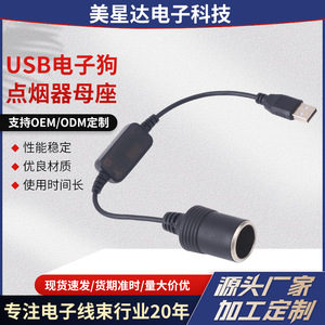 USB to <b>cigarette</b> <b>lighter</b> <b>12V</b> power bank connected to dash cam electronic dog USB to <b>cigarette</b> <b>lighter</b> female <b>socket</b> - Product Image 1
