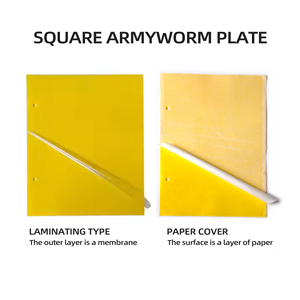 แผ่นกาวดักแมลงสองด้าน สีเหลือง สำหรับดักแมลงวันผลไม้ - Product Image 2