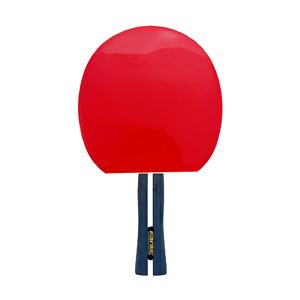 Meilleur prix raquette <span class=keywords><strong>de</strong></span> tennis <span class=keywords><strong>de</strong></span> table personnalisée 2 Pack 3 étoiles <span class=keywords><strong>raquettes</strong></span> <span class=keywords><strong>de</strong></span> tennis <span class=keywords><strong>de</strong></span> table formation raquette <span class=keywords><strong>de</strong></span> <span class=keywords><strong>ping</strong></span>-<span class=keywords><strong>pong</strong></span> - Product Image 5