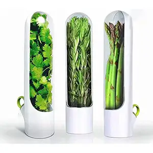 Breathable Fresh Herb Keeper Storage Vegetable Container Herb Savor Storage Container Fresh Herb Keeper Coriander Transparent