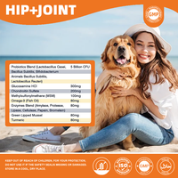 Glucosamine HCl MSM Chondroïtine Probiotique pour Chiens : Soulagement Intestinal et Articulaire, Complément pour la Santé de la Microflore Intestinale